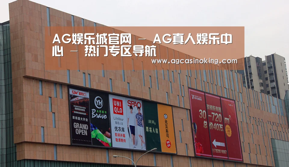 龙湖 · 金楠天街(图1)