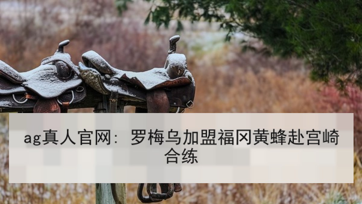 ag真人官网: 罗梅乌加盟福冈黄蜂赴宫崎合练
