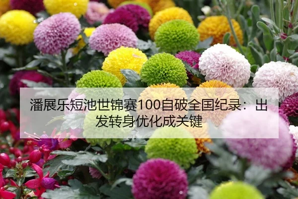 潘展乐短池世锦赛100自破全国纪录：出发转身优化成关键