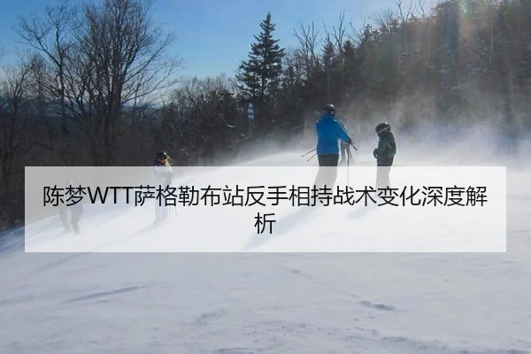 陈梦WTT萨格勒布站反手相持战术变化深度解析