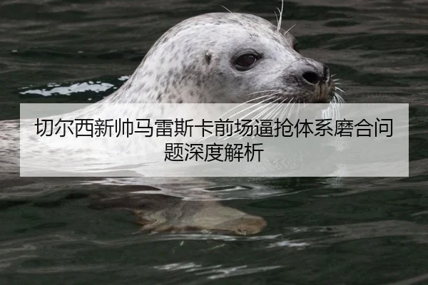 切尔西新帅马雷斯卡前场逼抢体系磨合问题深度解析
