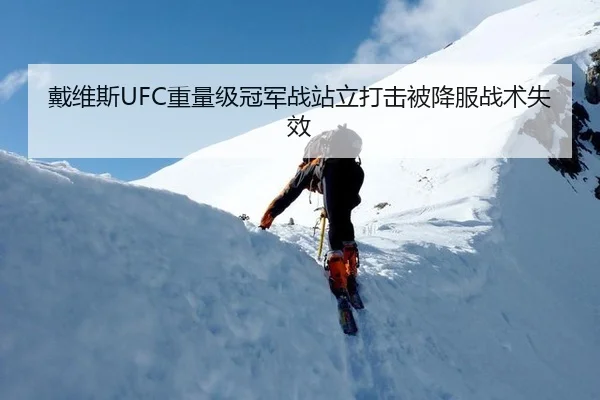 戴维斯UFC重量级冠军战站立打击被降服战术失效