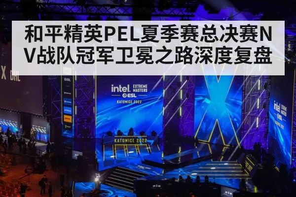 和平精英PEL夏季赛总决赛NV战队冠军卫冕之路深度复盘